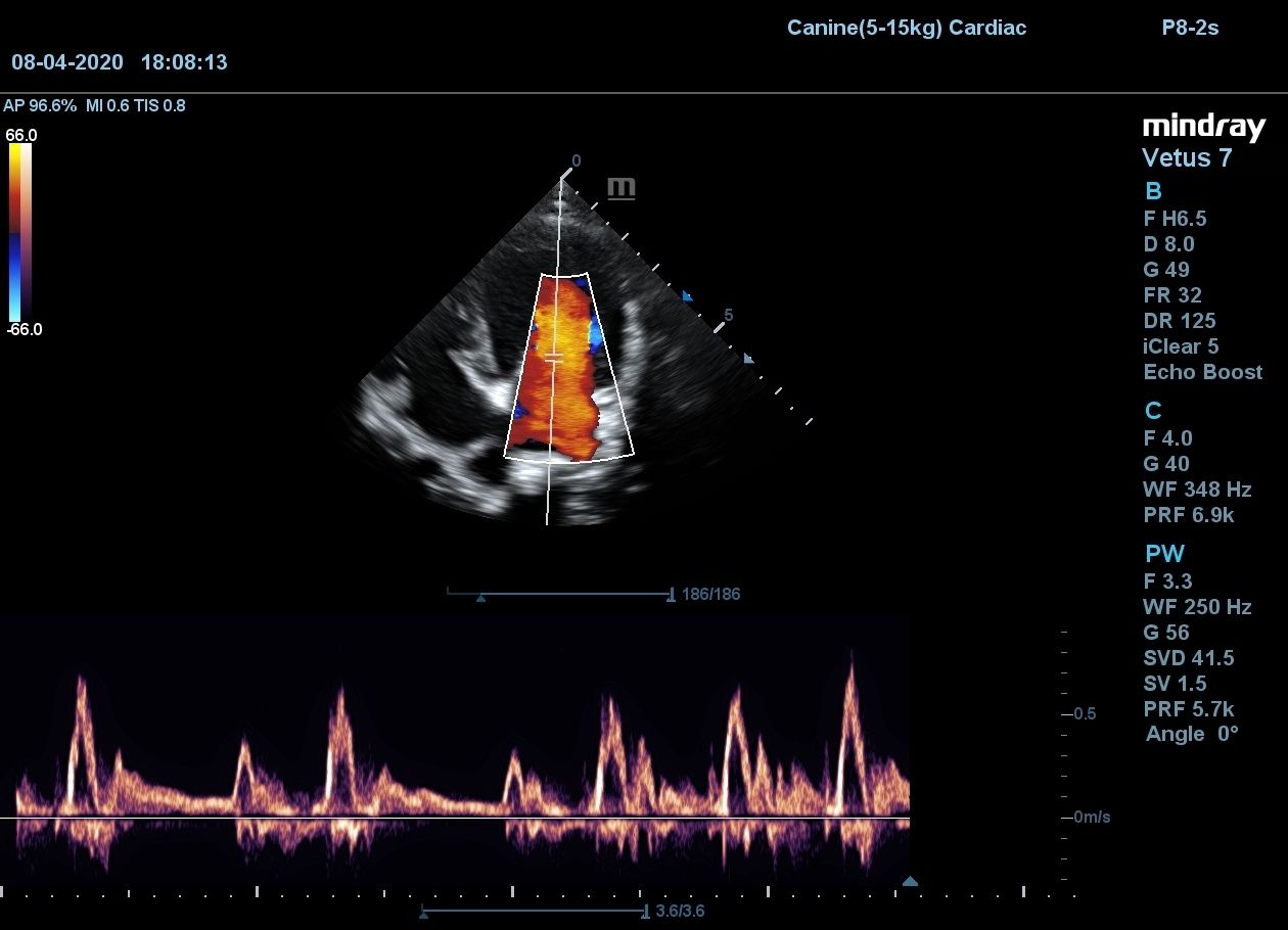 Сердце собаки, B, C, PW